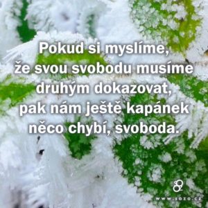 Pokud si myslíme, že svou svobodu…