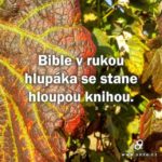 Bible v rukou hlupáka…