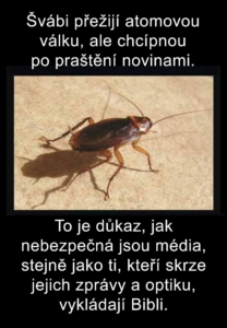 Švábi